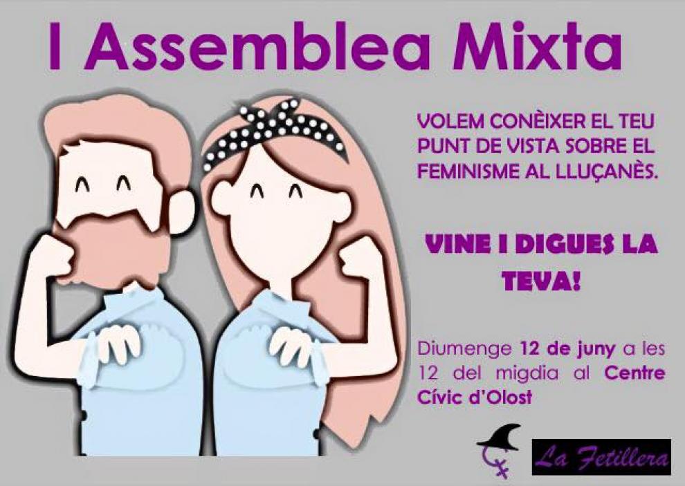 1a Assemblea mixta de 